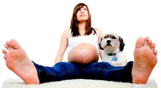 Беременная и врач: четыре типа отношений