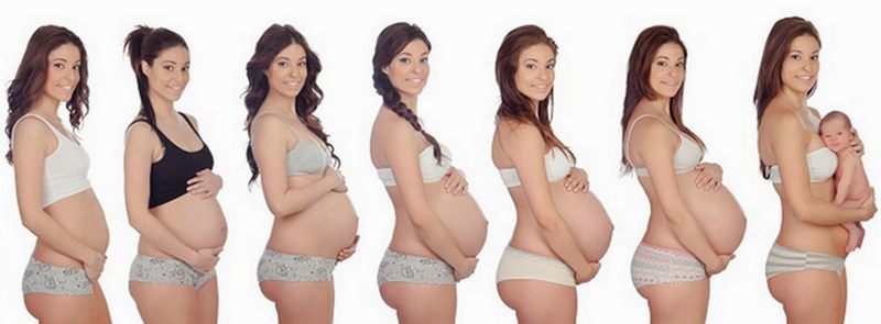 Календарь беременности, третий триместр, неделя с 29 по 42 календарь беременности, третий триместр, неделя с 29 по 42