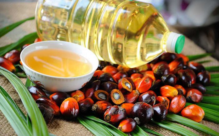 Экзотика под запретом – или как пальмовое масло стало чудом! Экзотика под запретом – или как пальмовое масло стало чудом!